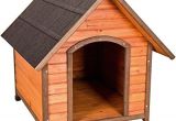 Great Dane Dog House Plans Beautiful Great Dane Dog House Plans New Home Plans Design