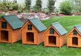 Great Dane Dog House Plans Beautiful Great Dane Dog House Plans New Home Plans Design