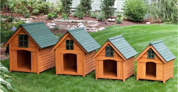 Great Dane Dog House Plans Beautiful Great Dane Dog House Plans New Home Plans Design