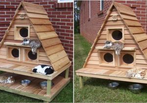 Heated Cat House Plans Insulated Outdoor Cat Houses Multiple Outdoor Cat House