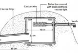 Hedgehog Home Plans Preparing to Make A Hedge Hog House and Taking Care the