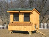 Hen House Building Plans Chicken Coop Ideas Designs and Layouts for Your Backyard