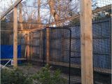 Home Batting Cage Plans Homemade Batting Cage Plans Homemade Ftempo