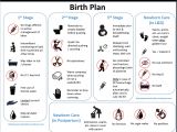 Home Birth Birth Plan A Downloadable Visual Birth Plan the Best Season Of My Life