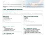 Home Birth Birth Plan Template Birth Plan Template 15 Free Word Pdf Documents