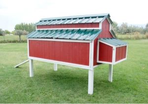 Home Depot Chicken Coop Plans 61 Diy Chicken Coop Plans that are Easy to Build 100 Free