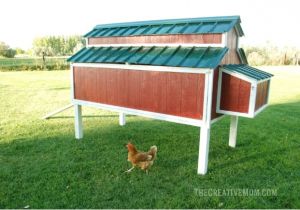 Home Depot Chicken Coop Plans Diy Chicken Coop 5 Ways to Build Yours Bob Vila