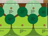 Home orchard Plan Fruit Tree Guild Plans Eat Close to Home