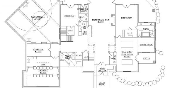 Home Plans with Basketball Court House Plans with Indoor Basketball Court How to Costs