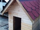 Insulated Dog House Building Plans Diy Insulated Dog House Myoutdoorplans Free