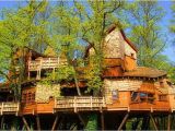 Large Tree House Plans Unusual Houses 120 Pics