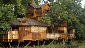 Large Tree House Plans What is Glamping Discover Glamping