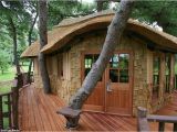 Livable Tree House Plans now that 39 S A Real Millionaire Play Pad the Luxury Tree