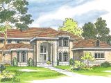 Mansion Home Plans Mediterranean House Plans Lucardo 30 181 associated