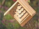 Mason Bee House Plans Teak Mason Bee House