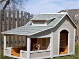 Multiple Dog House Plans Multiple Dog House Plans Lovely Best 25 Dog House Ideas On