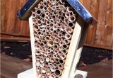 Orchard Mason Bee House Plans Make Your Own orchard Mason Bee House Gardening Pinterest