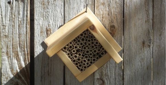 Orchard Mason Bee House Plans orchard Mason Bee House Plans Home Design and Style