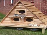 Outdoor Cat House Building Plans Cat House Plans Indoor Bestsciaticatreatments Com