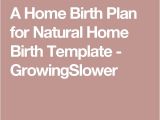 Planned Home Birth Best 25 Birth Plan Sample Ideas On Pinterest Birthing