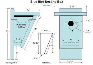 Plans for Bluebird Houses Bluebird Houses Plans Bird Cages