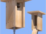 Plans for Bluebird Houses Bluebird Nestbox Plans