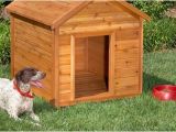 Plans for Building A Dog House 10 Free Dog House Plans Home Design Garden