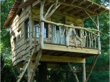 Plans for Building A Tree House 37 Diy Tree House Plans that Dreamers Can Actually Build