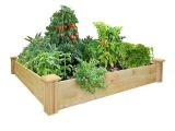 Raised Garden Bed Plans Home Depot What Type Of Wood Should I Use for My organic Container