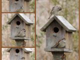 Sparrow Bird House Plans Sparrow Bird House Plans