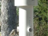 Squirrel Proof Bird House Plans Grant Maclaren 39 S Squirrel Proof Bird Feeder Garden