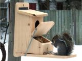 Squirrel Proof Bird House Plans Home Made Squirrel Feeders Us1 Me