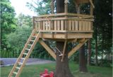 Swing Set Tree House Plans 21 Best Images About Tree House Fun On Pinterest A Tree