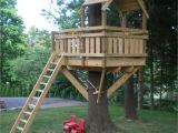 Tree Home Plans Tree fort Village Custom Furniture