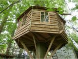 Tree House Plans without A Tree Wettest Tree House Build yet Squirrel Design