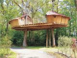 Tree Houses Plans and Designs Tree House Designs Google Search Tree Houses