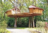 Treehouse Home Plans Outdoor Awesome Treehouse Plans and Designs Beautiful