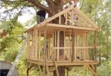 Treehouse Home Plans Pictures Of Tree Houses and Play Houses From Around the