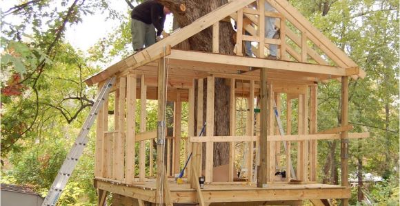 Treehouse Home Plans Pictures Of Tree Houses and Play Houses From Around the