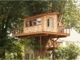 Treehouse House Plans How to Build A Simple Treehouse without A Tree Wooden Global