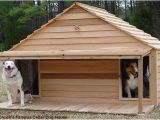 Two Dog Dog House Plans Diy Dog Houses Dog House Plans Aussiedoodle and