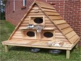 Wooden Cat House Plans Build Cat House Plans Outdoor Diy Pdf Easy Woodwork