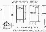 Woodpecker Bird House Plans Build A Woodpecker House