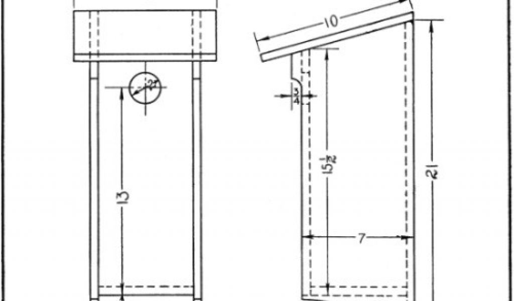 woodpecker-house-plans-pileated-woodpecker-bird-house-plans-woodworktips-plougonver