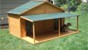 X Large Dog House Plans Your Big Friend Needs A Large Dog House Mybktouch Com